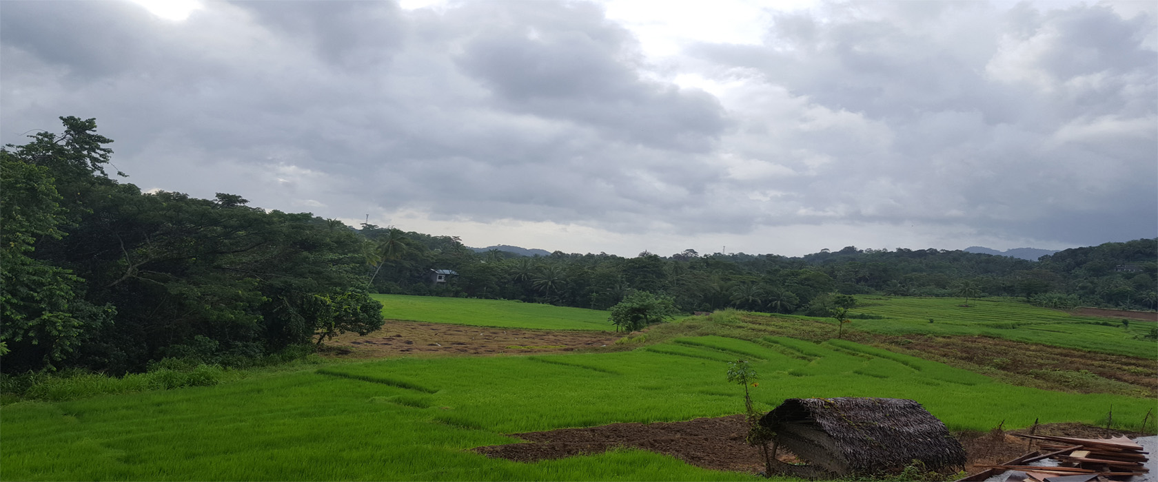 BHsrilankatours