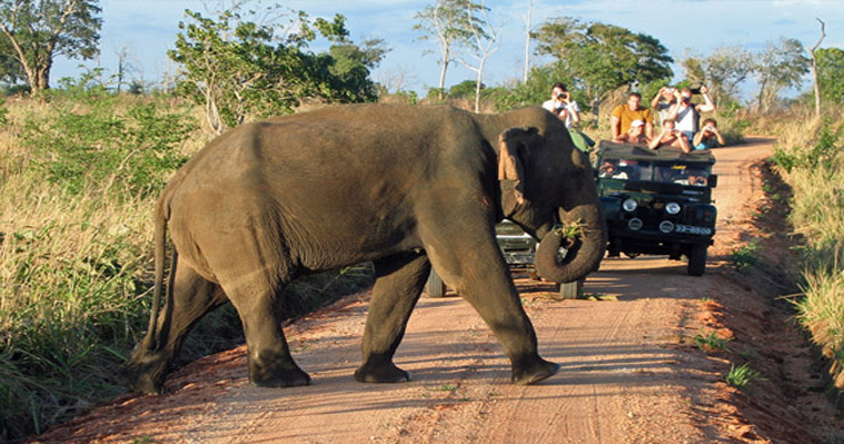 BHsrilankatours